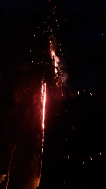 20230608_223238_resized_1 groß.jpg